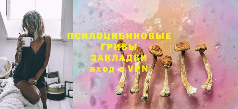 Галлюциногенные грибы Cubensis  Белоярский 